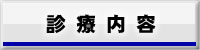 診療内容